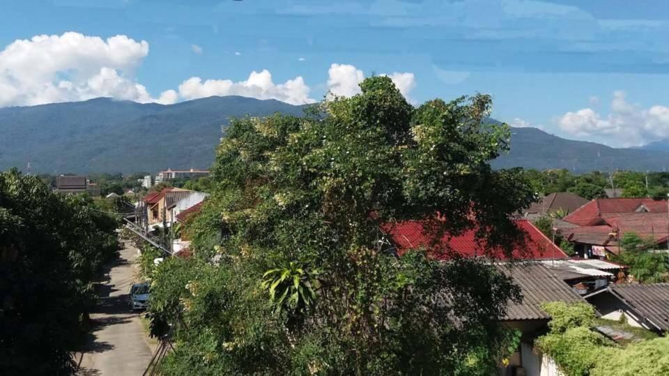 Holiday Chiang Mai — Photos 1